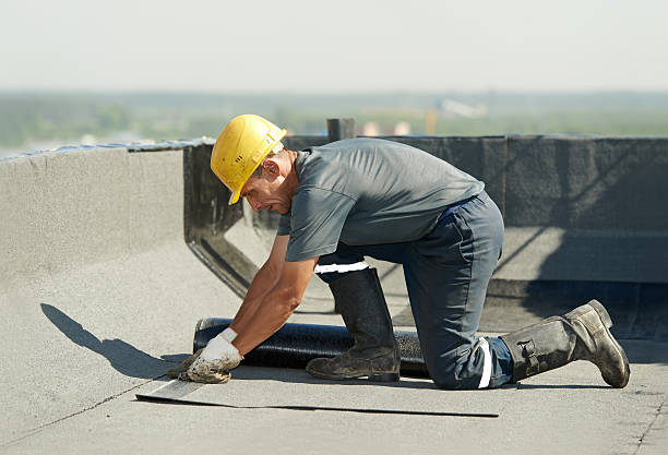 Best Insulation Maintenance and Repair in Montezuma, IA